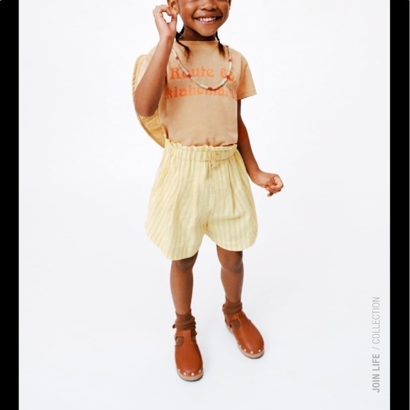 Zara Pleated Shorts - Picture 1 of 11